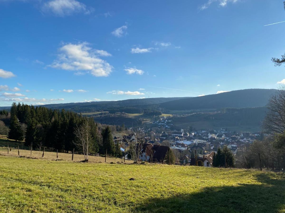 Auszeit Im Schwarzwald Apartment Lenzkirch Bagian luar foto
